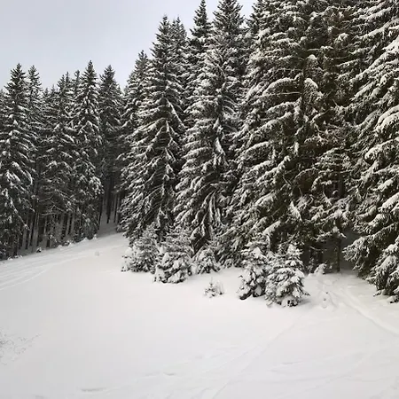 S Bazenem A Saunou U Skiarealu ブブラヴァ